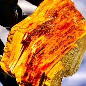 1lb Gary Green Jasper Bog Wood Larsonite Caldera Freedom Stone Rough Raw Natural